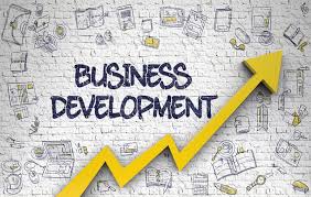 How your Accountant Supports Business Development